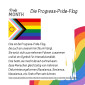 Infos zur Progress-Flagge und Pride Month